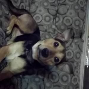 Meet your Posher, Donna